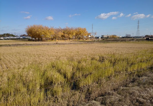 20131208101902-SO-01F.jpg