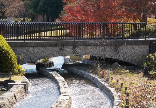 201312081138-DSC07479R.jpg