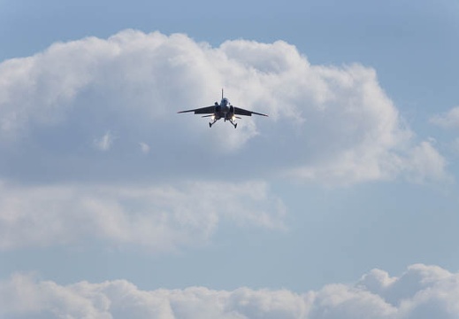 201312121233-DSC06511.jpg