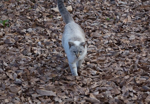 201312241509-DSC09150R.jpg
