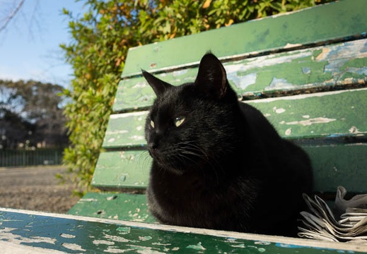201312241519-DSC09167R.jpg
