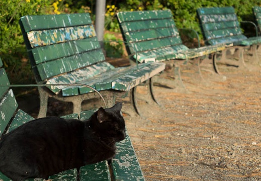 201312241520-DSC09170R.jpg