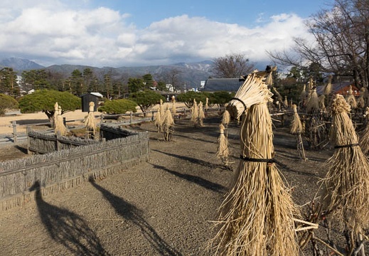 201401011434-DSC09376.jpg