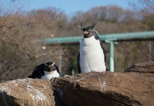 201401051354-DSC00040R.jpg