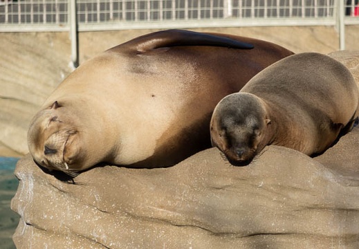 201401051359-DSC00062R.jpg