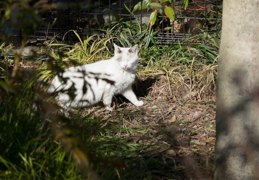 201401311324-DSC01271R.jpg