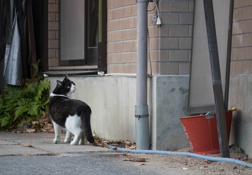 201402011641-DSC01824R.jpg