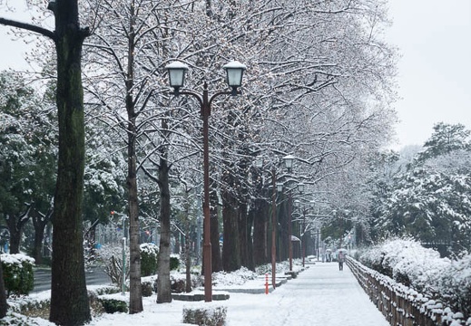 201402081118-DSC02019R.jpg