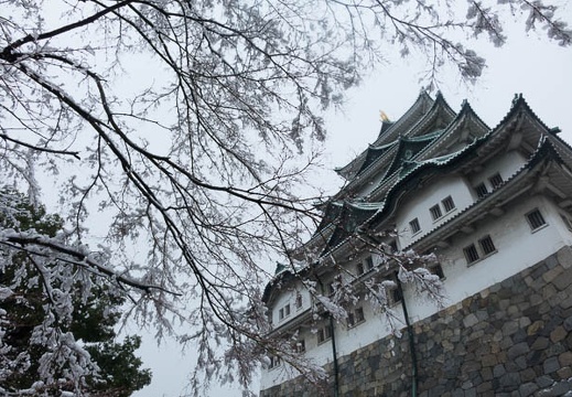 201402081145-DSC02071R.jpg