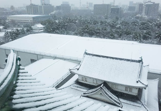 201402081158-DSC02100R.jpg