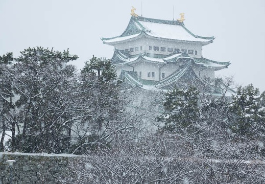 201402081234-DSC02135R.jpg