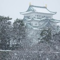 201402081234-DSC02135R.jpg