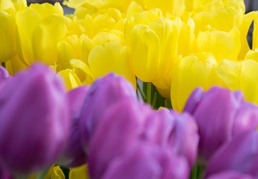 201402101604-DSC02397R.jpg