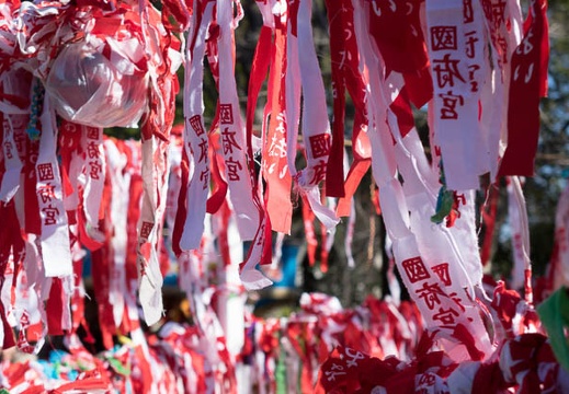 201402121413-DSC02994R.jpg