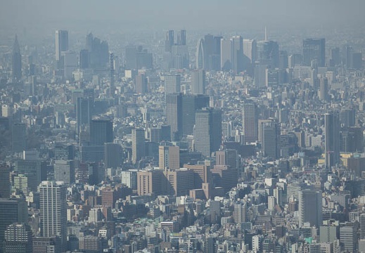 201402171044-DSC08580.jpg