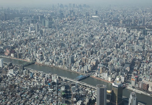 201402171058-DSC08639.jpg