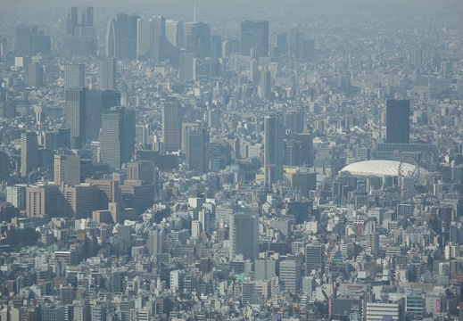 201402171058-DSC08641.jpg