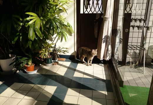 20140221142227-SO-01F.jpg