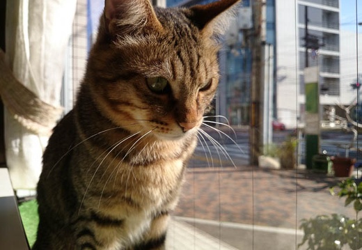 20140221143251-SO-01F.jpg