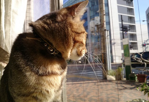 20140221143256-SO-01F.jpg