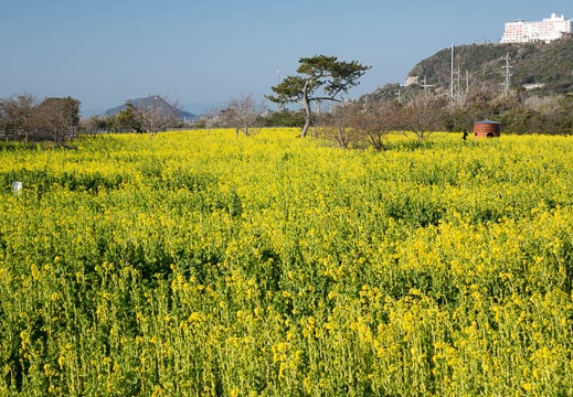 201402230840-DSC09200R.jpg