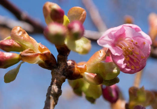 201402231103-DSC08671N.jpg
