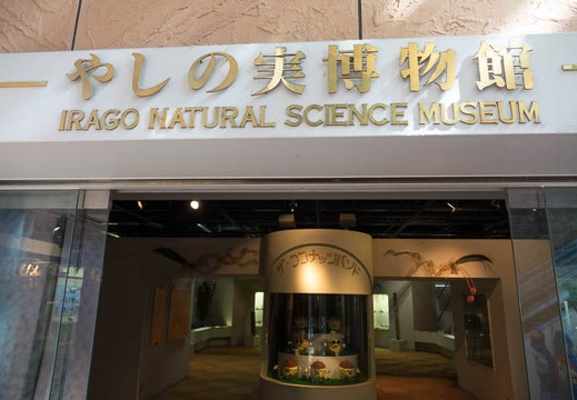 201402231223-DSC09404R.jpg