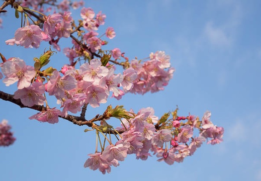 201402250747-DSC09707R.jpg