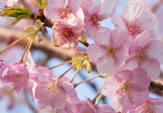 201402250752-DSC09714R.jpg
