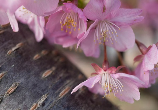 201402250842-DSC08688N.jpg