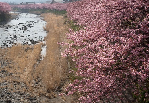 201402251045-DSC00007R.jpg