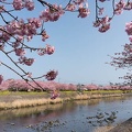 201402251412-DSC00217R.jpg