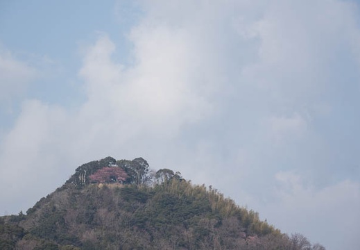 201402251413-DSC00222R.jpg