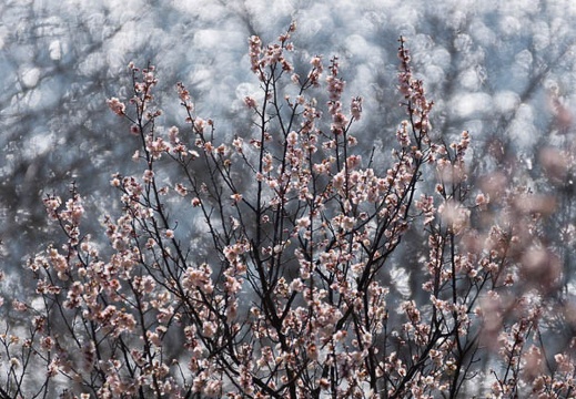 201403031053-DSC07123.jpg