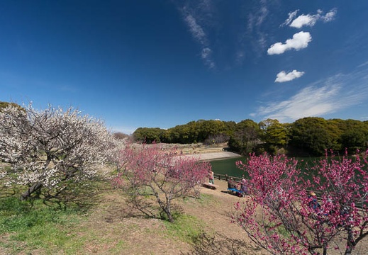 201403031149-DSC08990N.jpg
