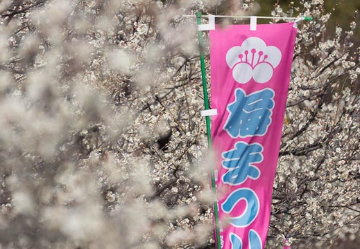 201403031241-DSC07210.jpg