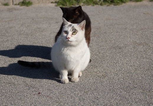 201403031518-DSC07250.jpg