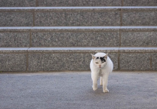 201403031540-DSC07263.jpg
