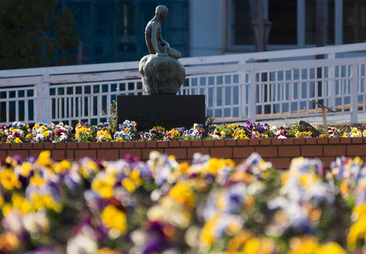 201403031616-DSC07318.jpg