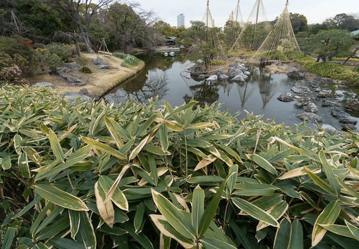 201403041147-DSC09156N.jpg