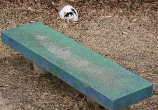 201403041310-DSC07413.jpg