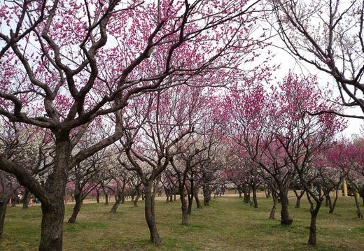 20140304135238-SO-01F.jpg