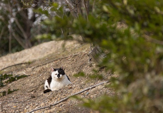 201403041418-DSC07554.jpg