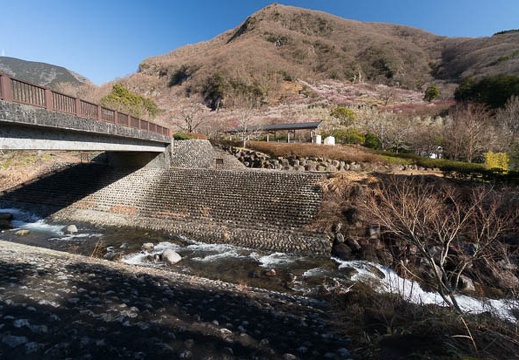 201403060840-DSC09271N.jpg