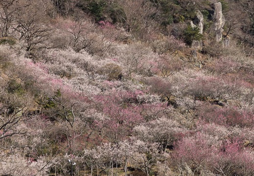 201403060844-DSC07676.jpg