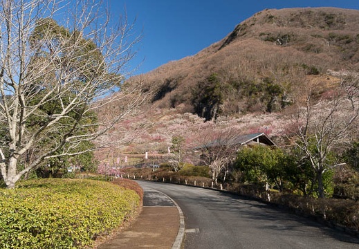201403060846-DSC09277N.jpg