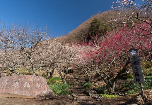 201403060856-DSC09289N.jpg