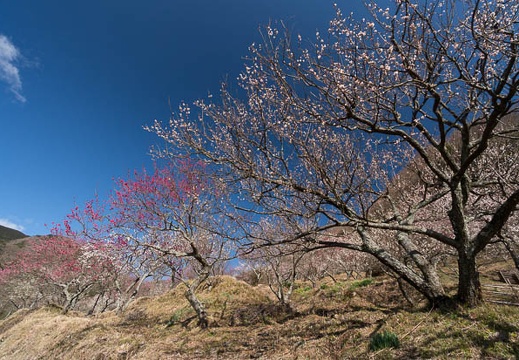 201403060857-DSC09292N.jpg