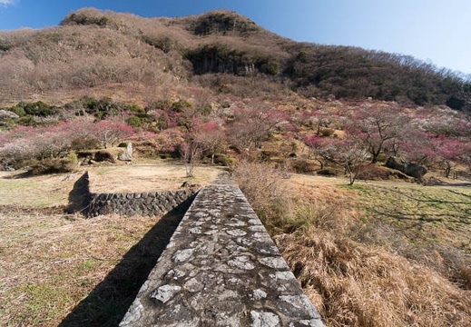 201403060905-DSC09309N.jpg