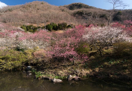 201403060909-DSC09318N.jpg